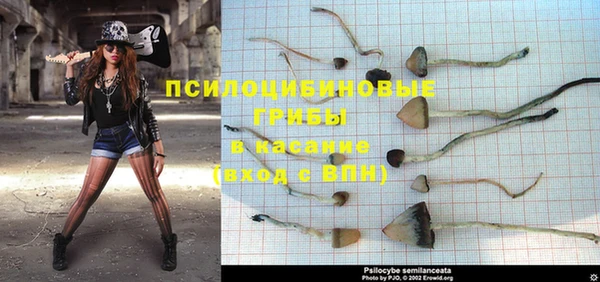 MESCALINE Корсаков