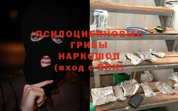 ешки Алексин