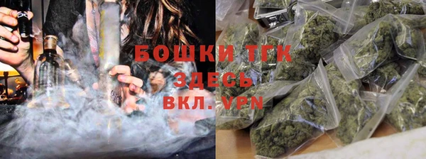 ешки Алексин