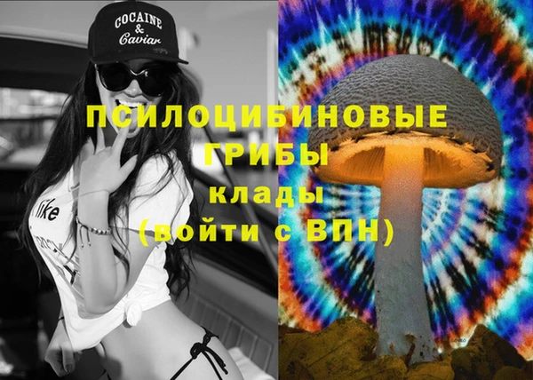 сатива Алзамай
